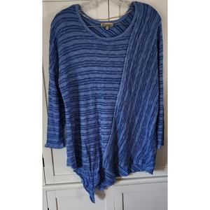 Democracy Women's Two Tone Blue Reverse Hem Tunic Spring Sweater Size Large